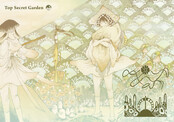 Top Secret Garden